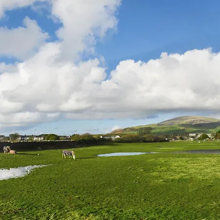 Daire Cookies Corner